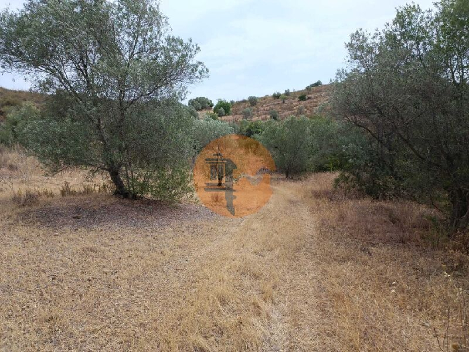  à venda terreno Alcoutim Alcoutim 4