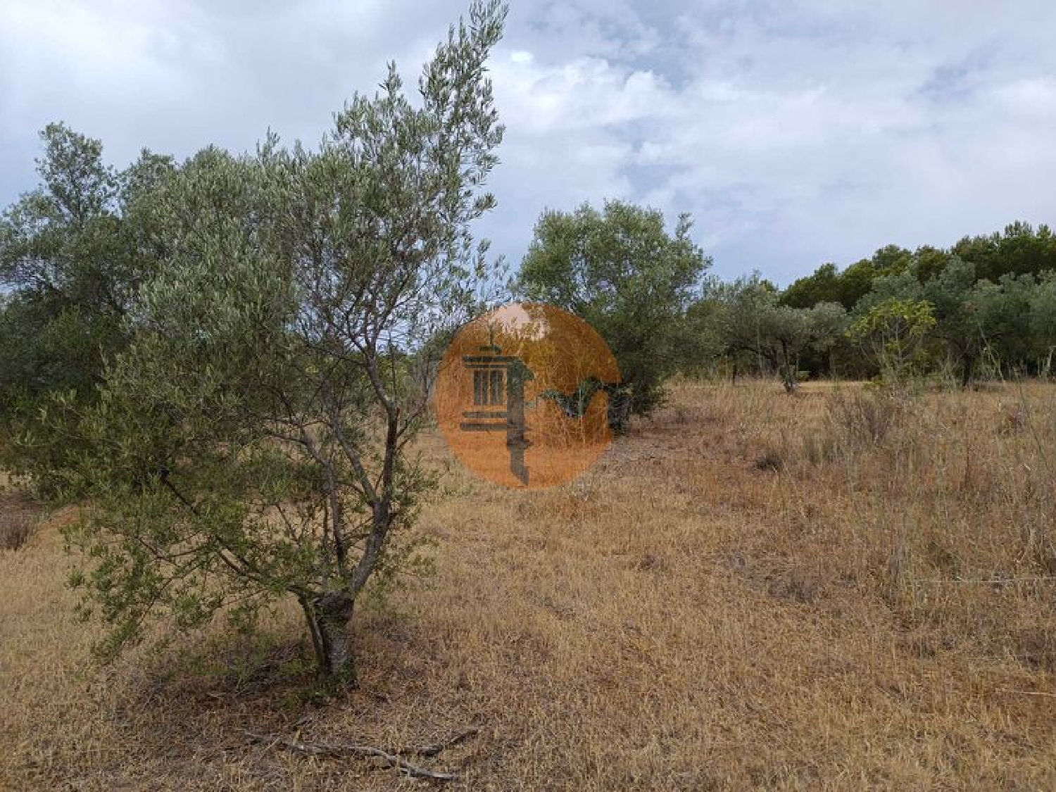  à venda terreno Alcoutim Alcoutim 8
