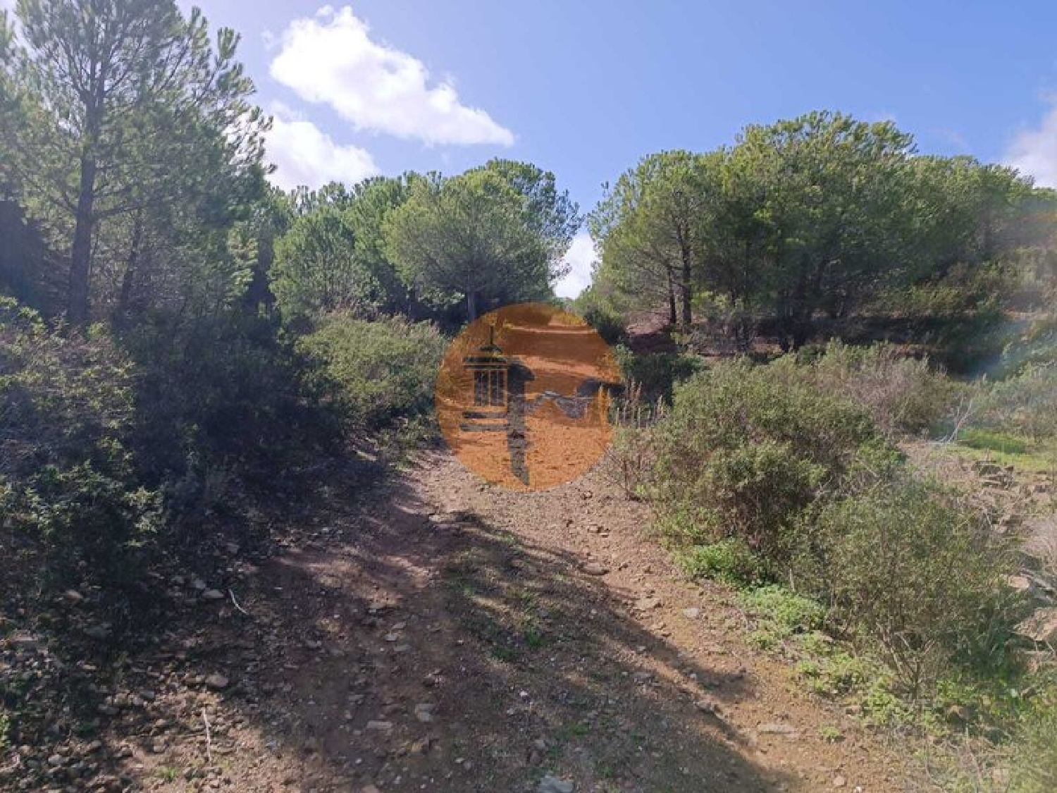  en venta terreno Alcoutim Alcoutim 2