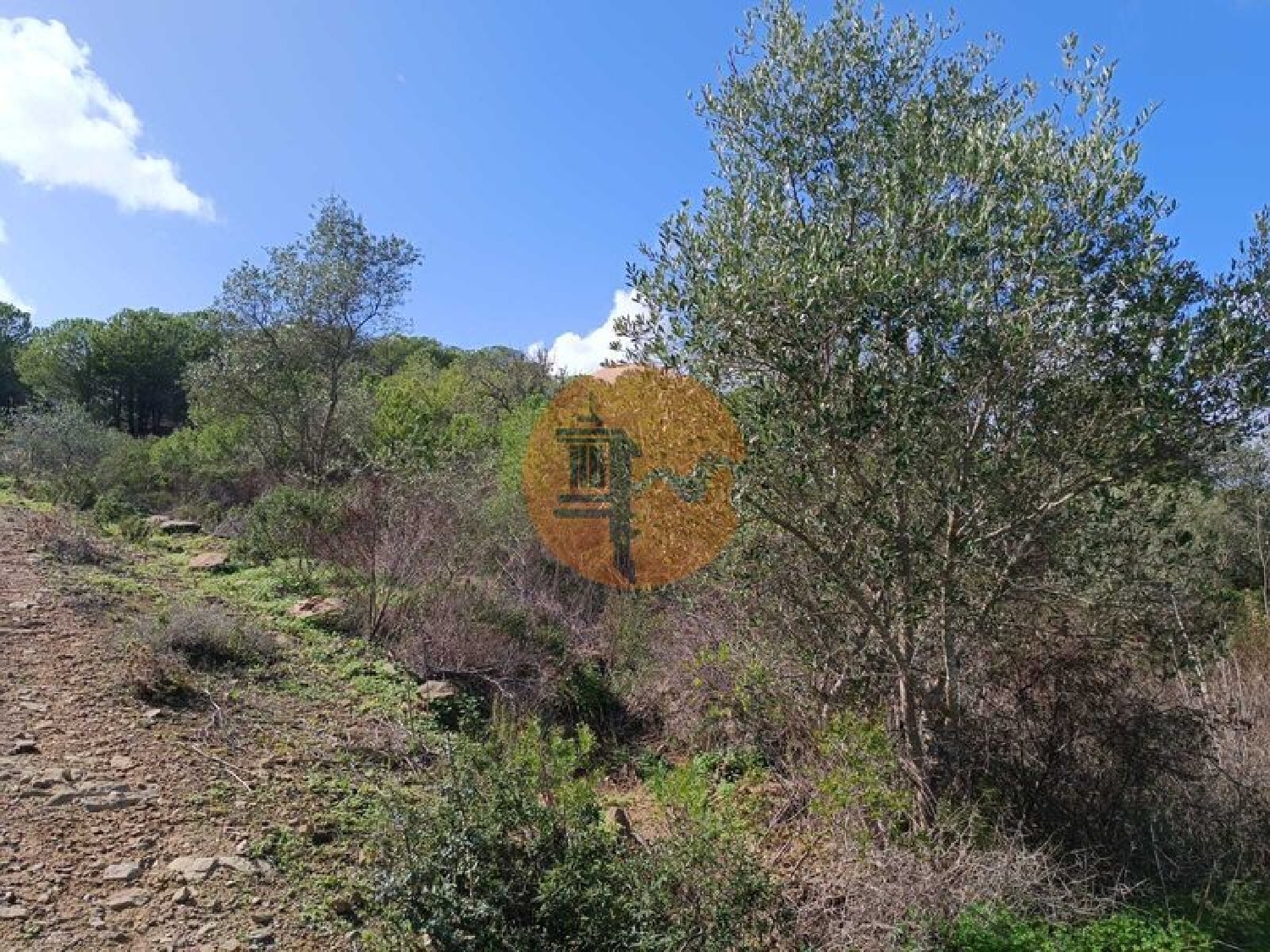  à venda terreno Alcoutim Alcoutim 5