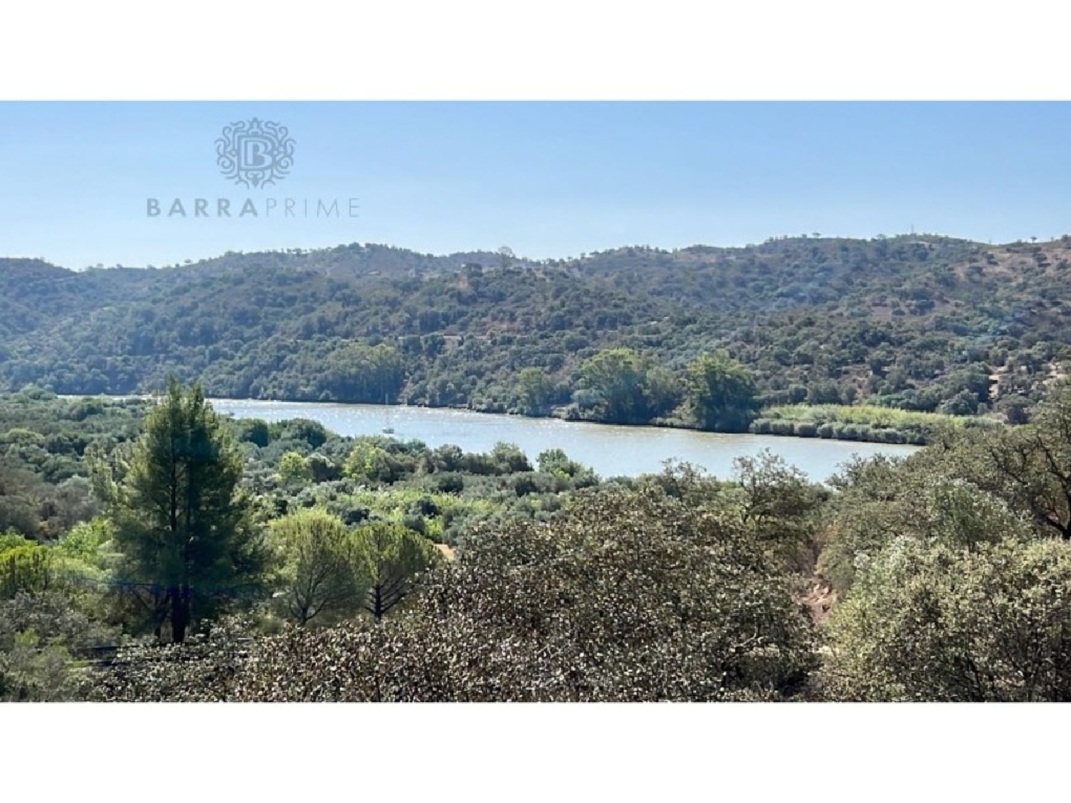  à vendre terrain Alcoutim Sertã 1