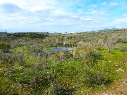 Alfândega da Fé Alfândega Da Fé terreno foto 320357