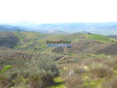 Alfândega da Fé Alfândega Da Fé terreno foto 320391