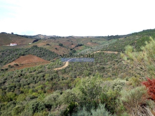 Alfândega da Fé Alfândega Da Fé terreno foto 320394