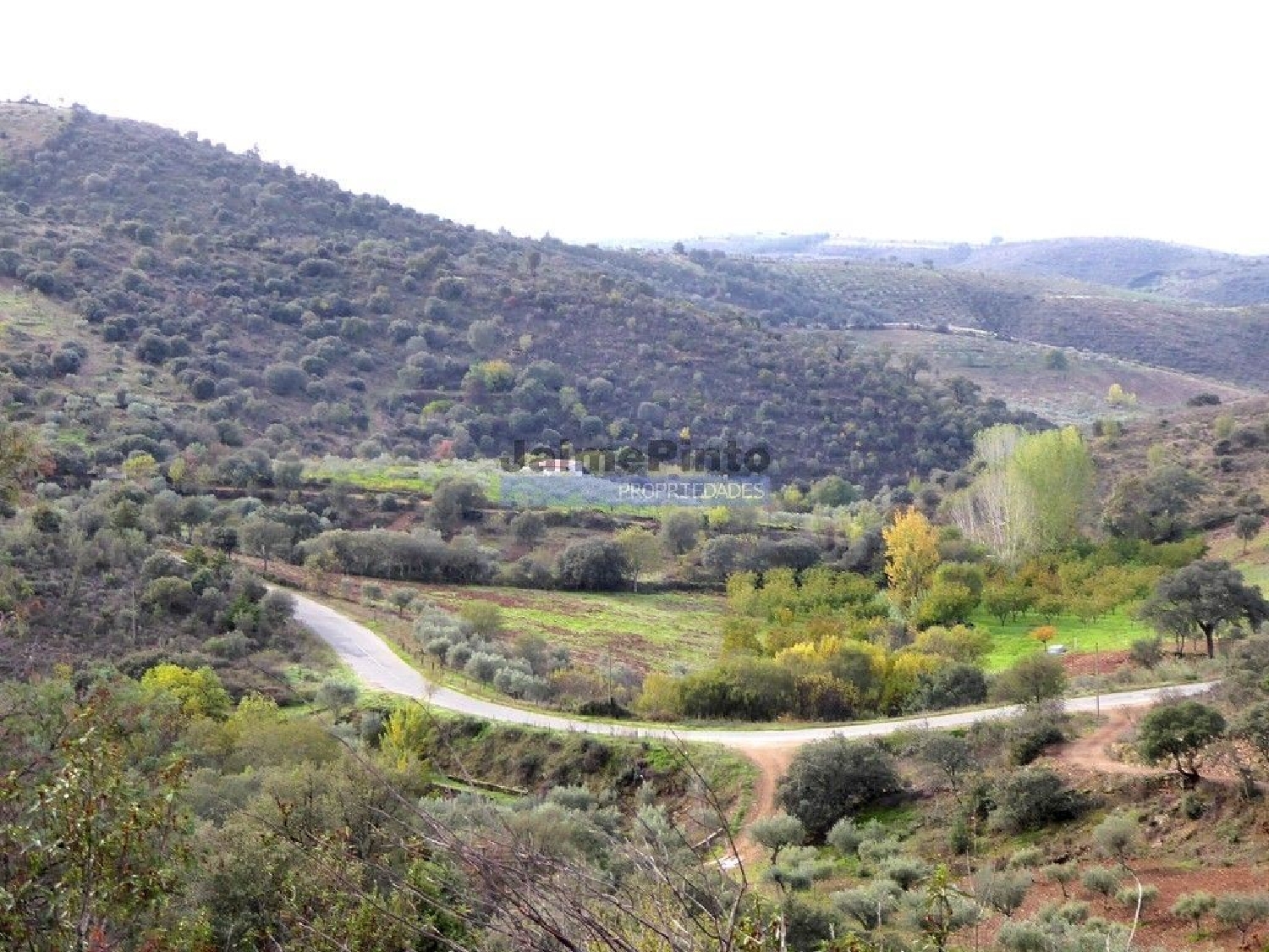 à venda terreno Alfândega da Fé Alfândega Da Fé 2
