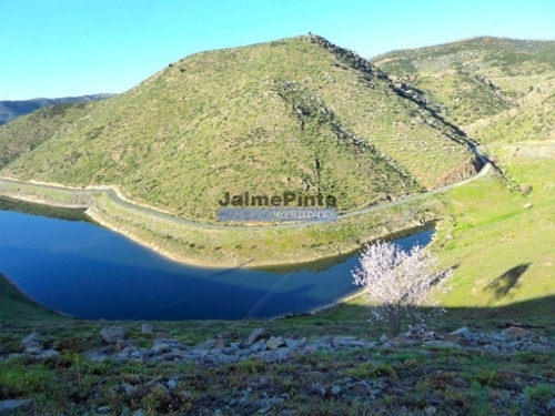 Alfândega da Fé Alfândega Da Fé terreno foto 320468