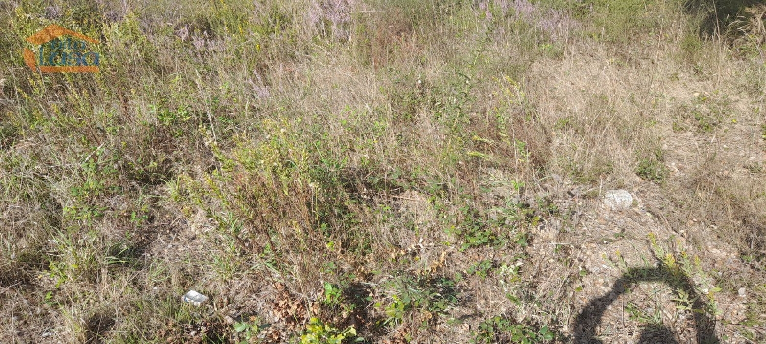 for sale terrain Alfena Valongo 2