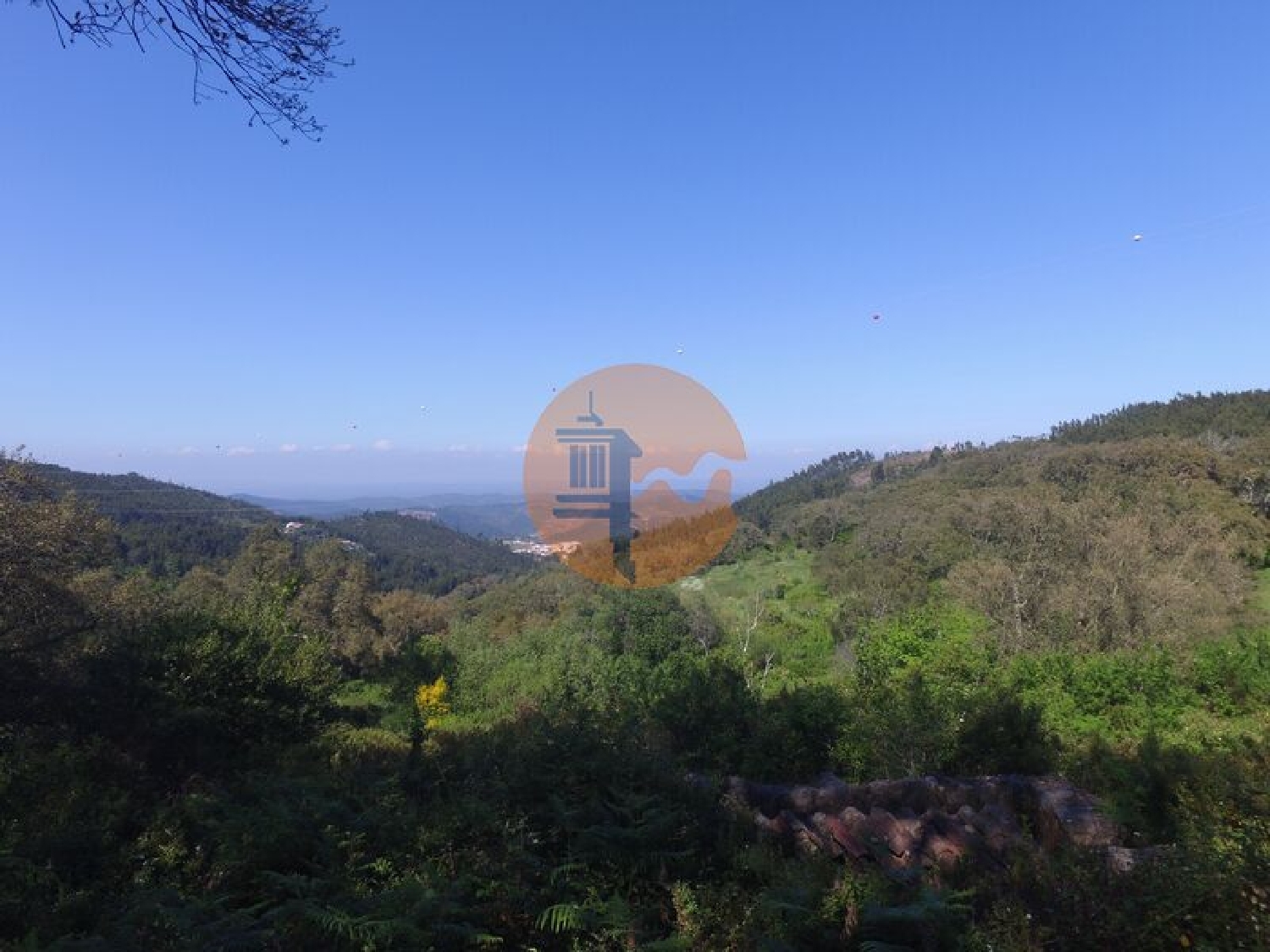  à venda terreno Alferce Monchique 3