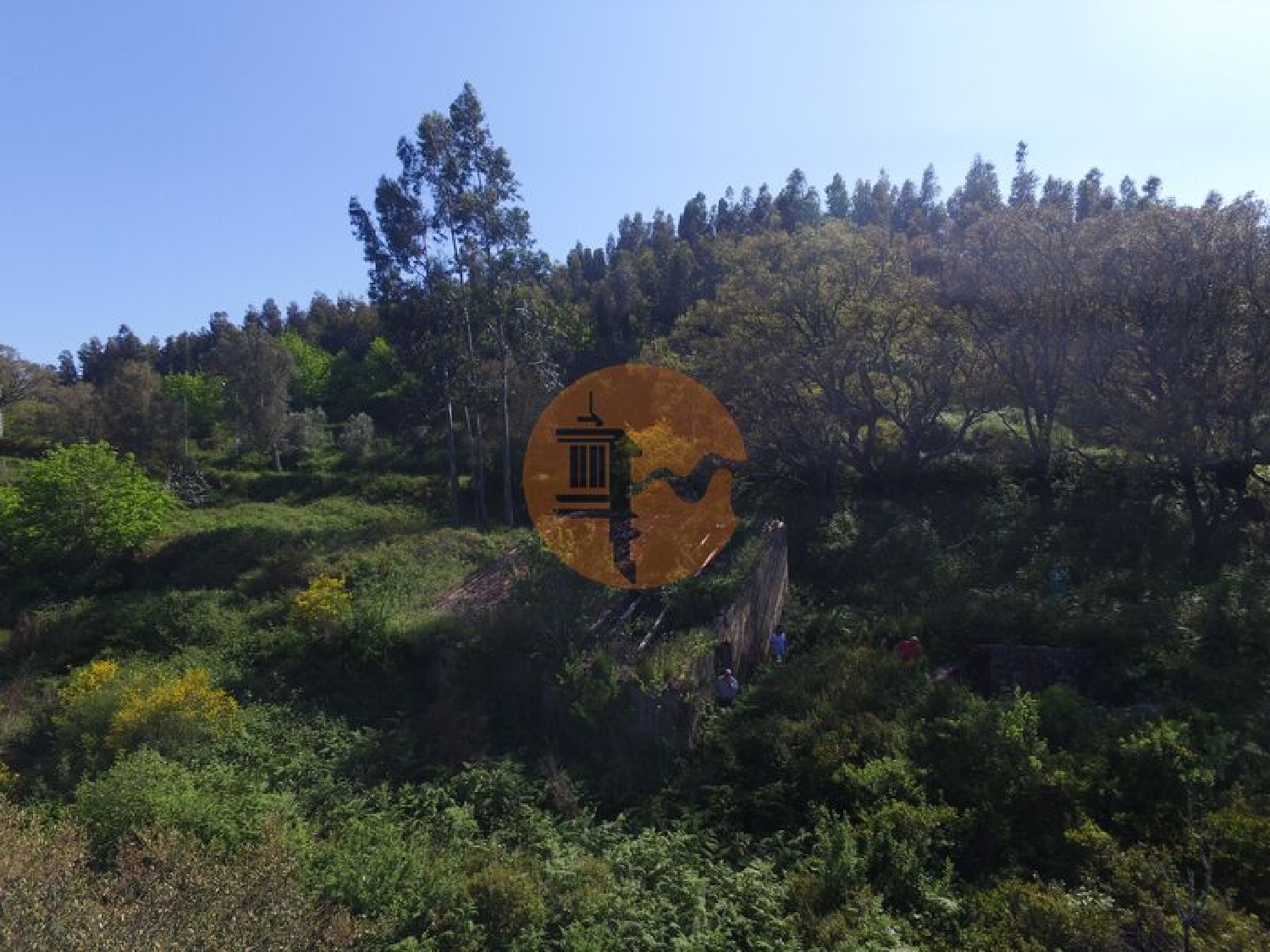  à venda terreno Alferce Monchique 5