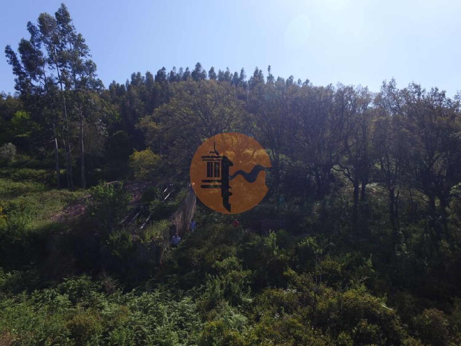  à venda terreno Alferce Monchique 6
