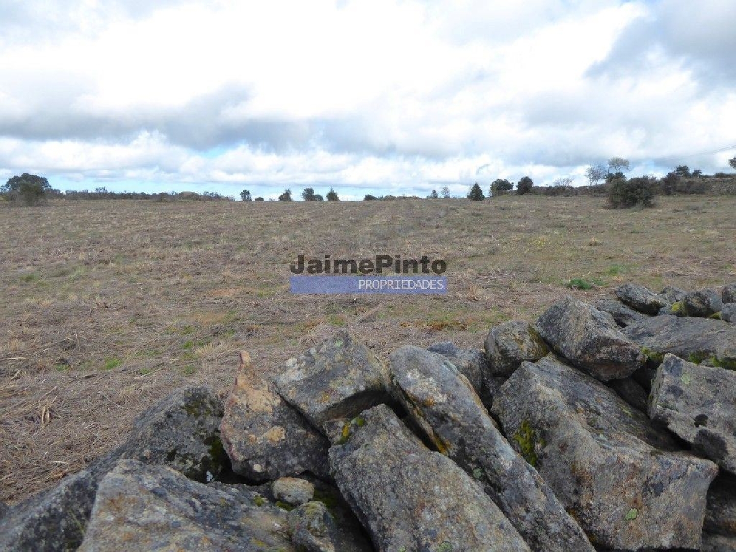  köpa tomt Algodres Figueira De Castelo Rodrigo 1