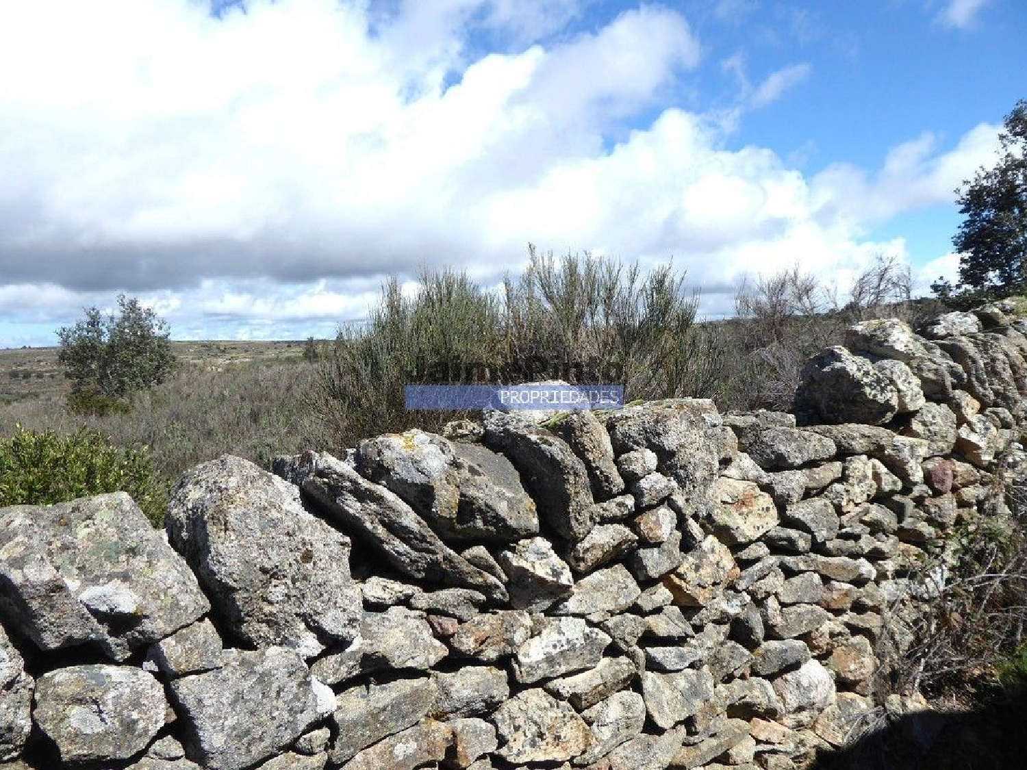 köpa tomt Algodres Figueira De Castelo Rodrigo 2