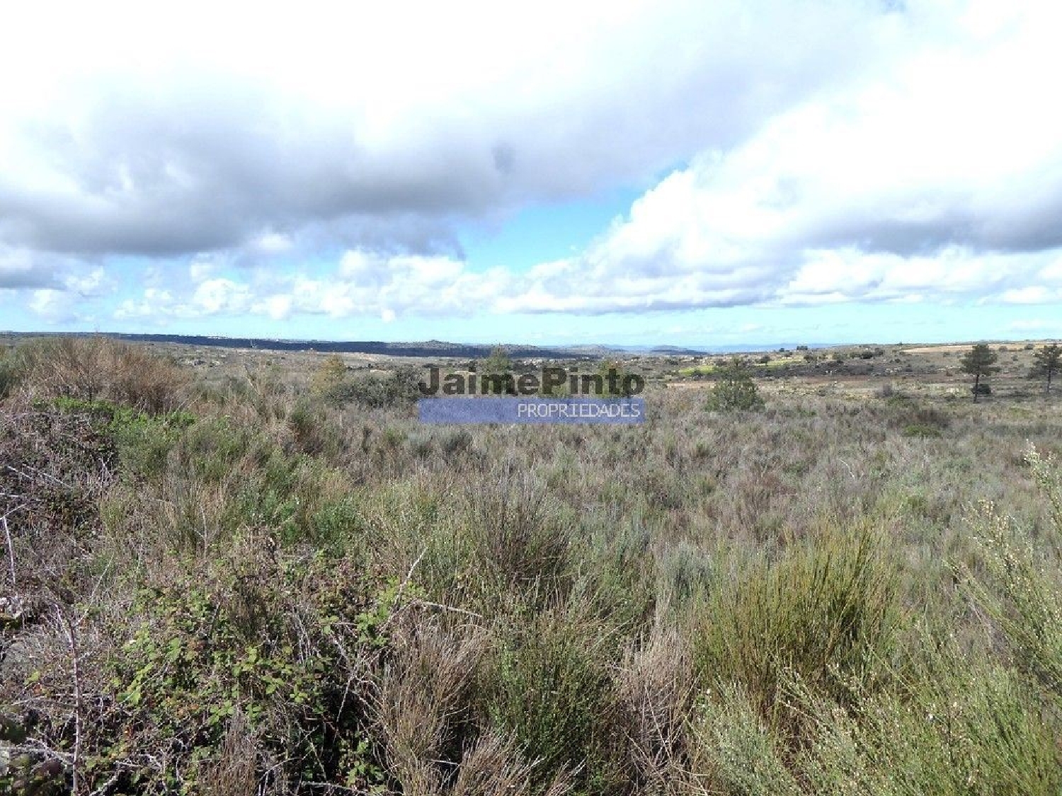 köpa tomt Algodres Figueira De Castelo Rodrigo 3