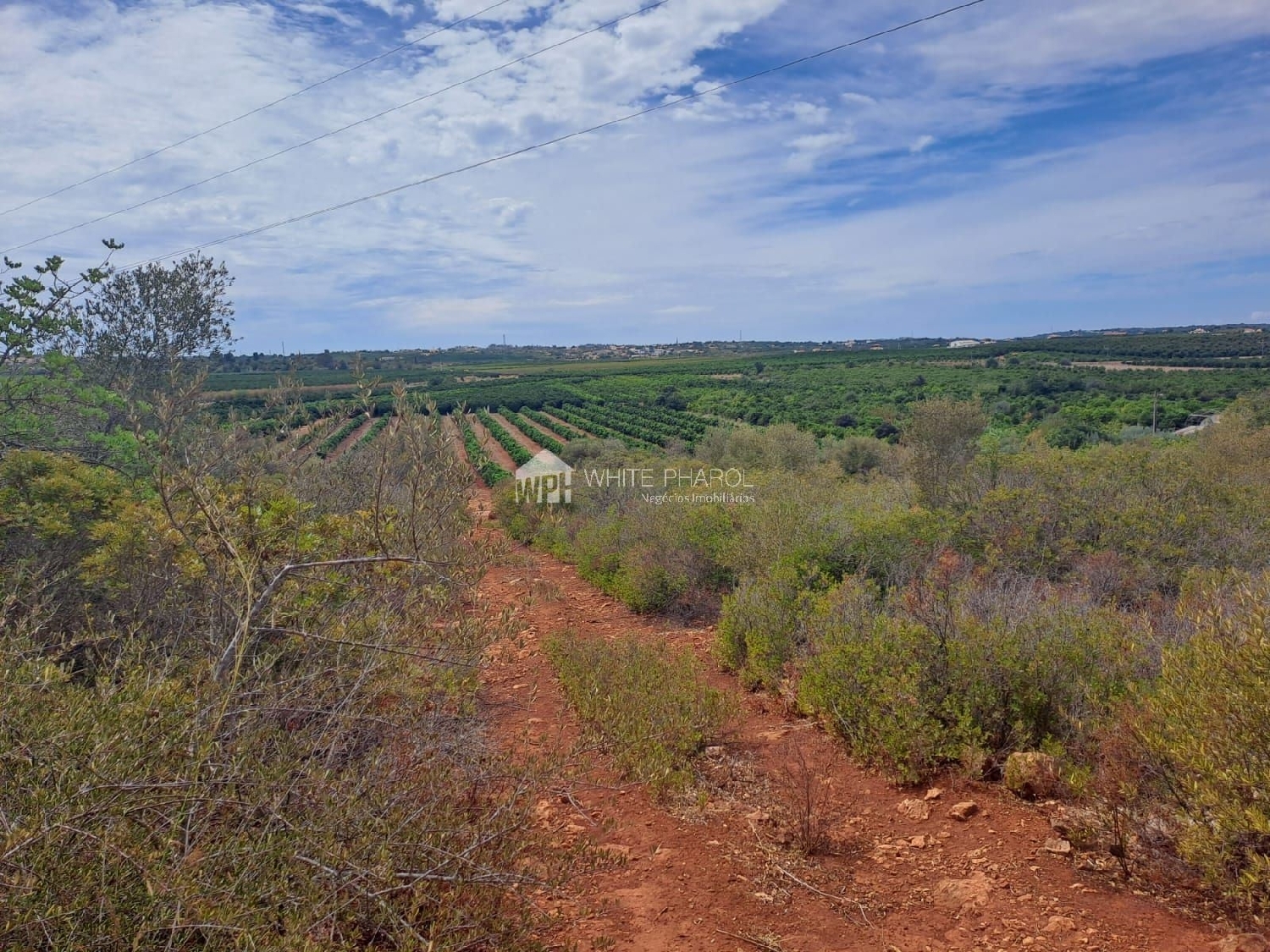  te koop terrein Algoz Silves 3