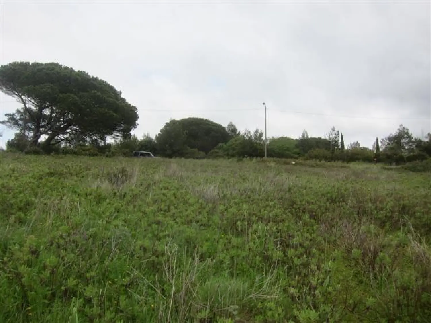  出售 土地 Banzão Sintra 2