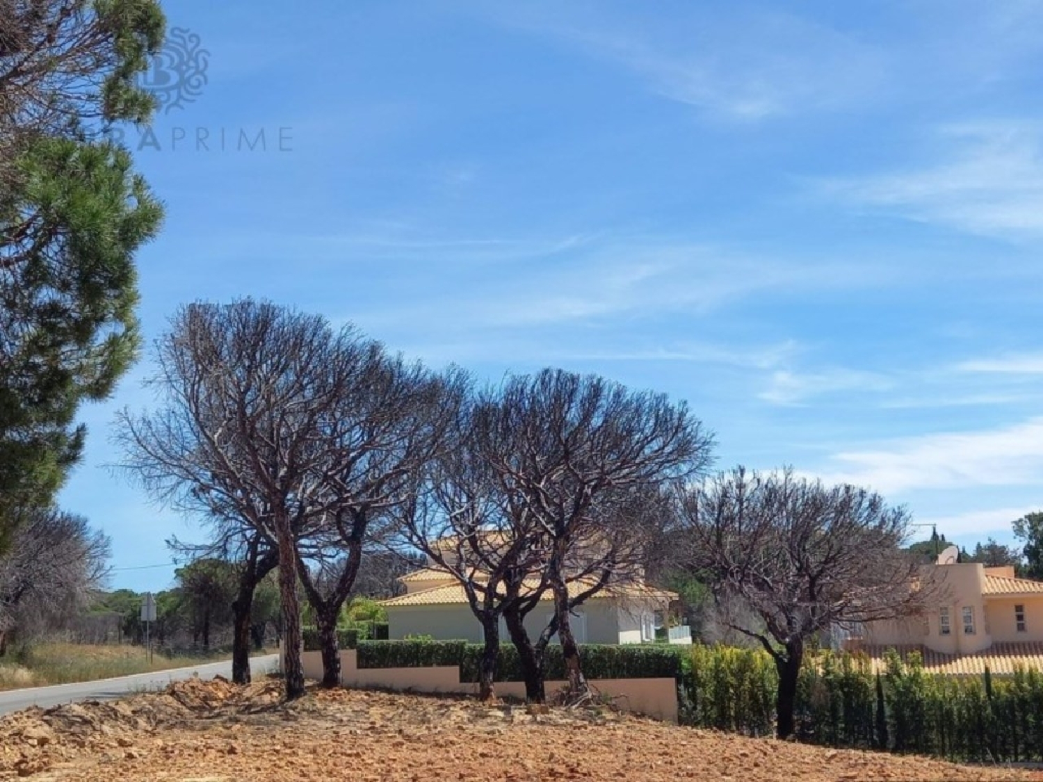 te koop terrein Almancil Loulé 3