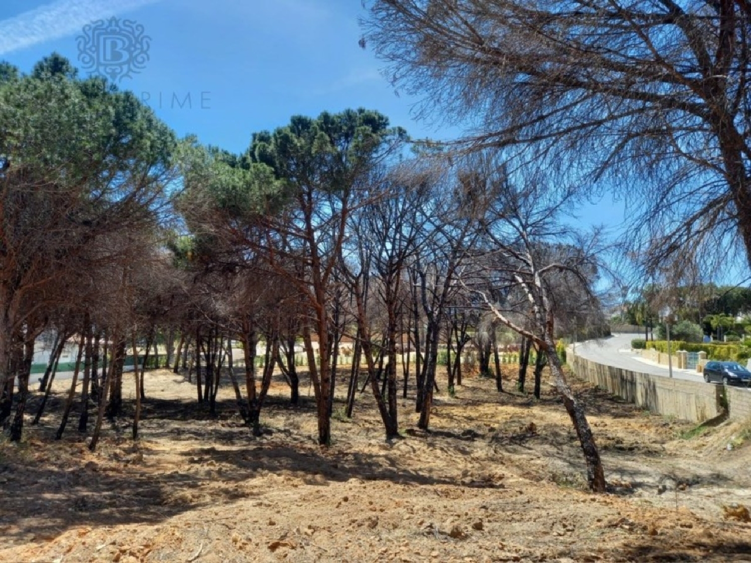  te koop terrein Almancil Loulé 7