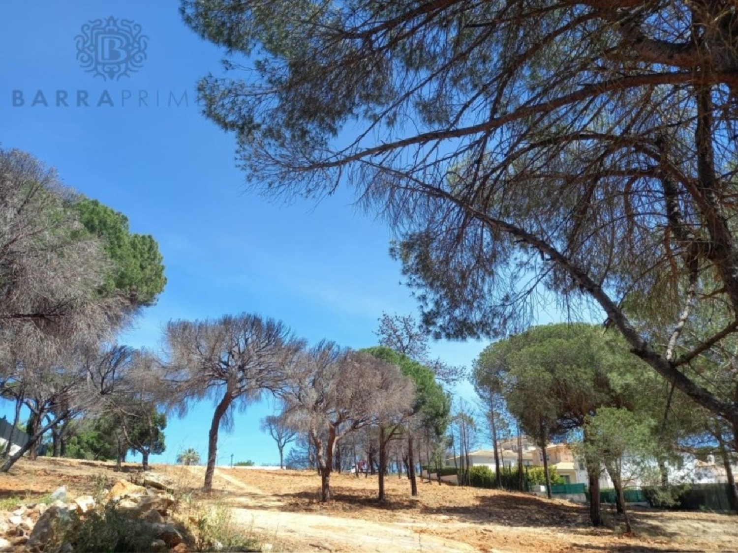  te koop terrein Almancil Loulé 8