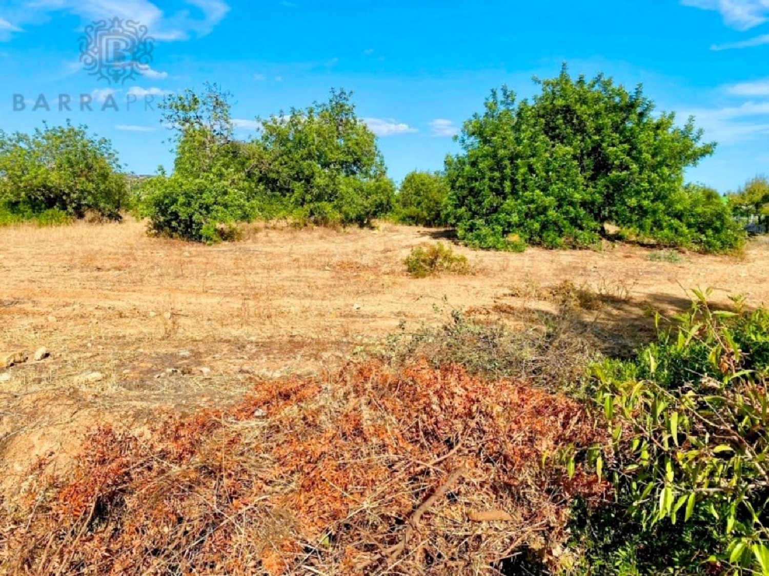 te koop terrein Almancil Loulé 3