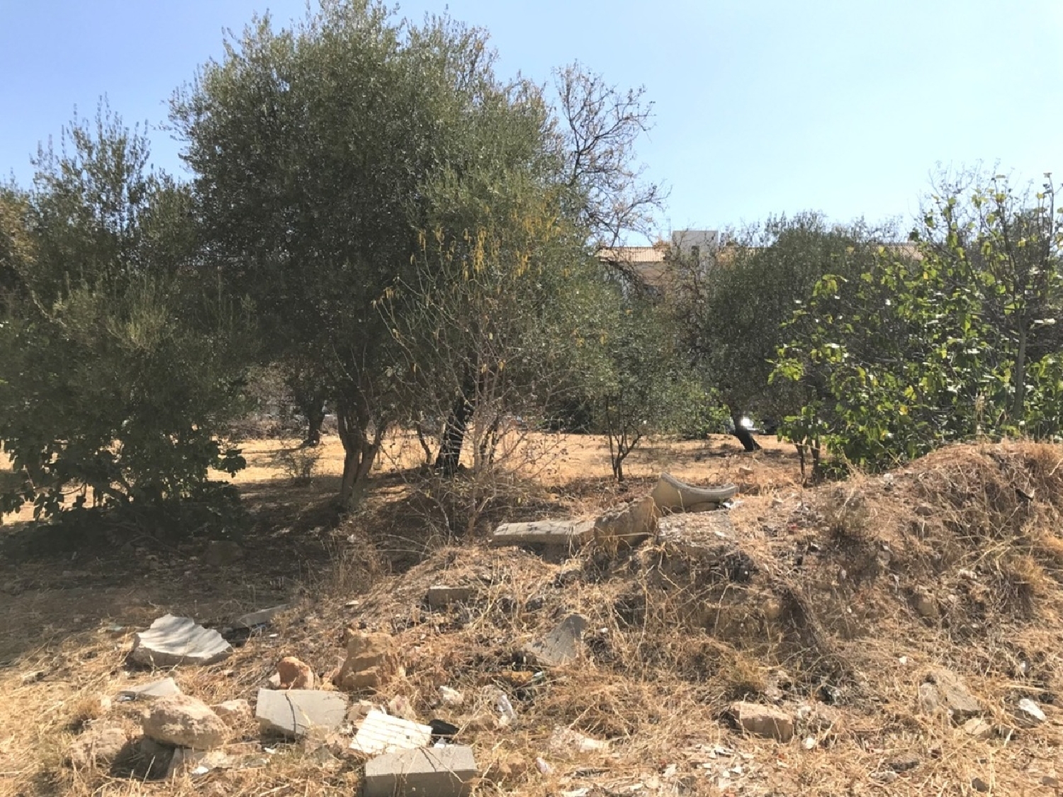 te koop terrein Almancil Loulé 3