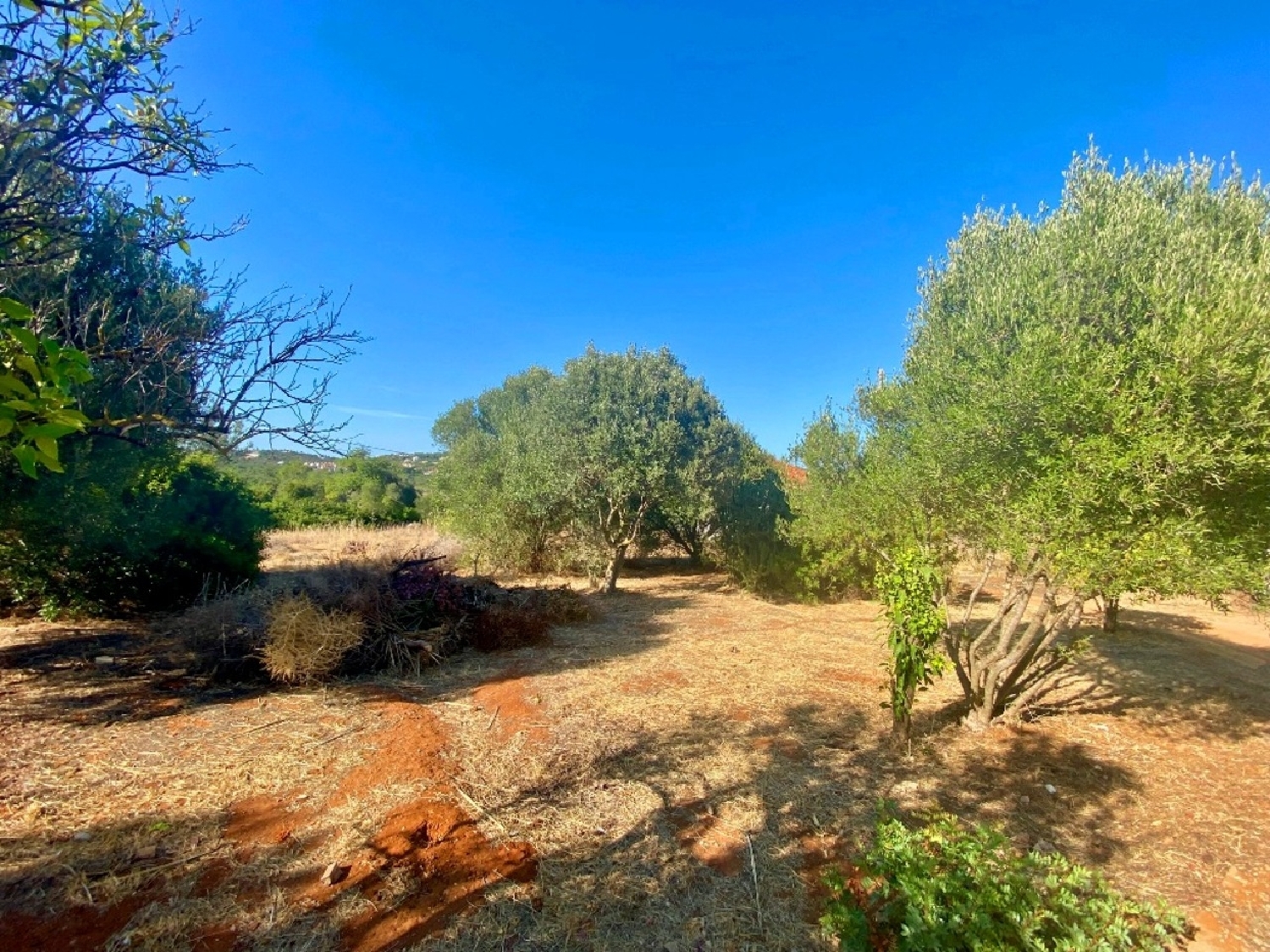  te koop terrein Almancil Loulé 1