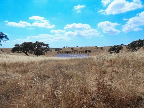Almodôvar Almodôvar terrain foto 320351