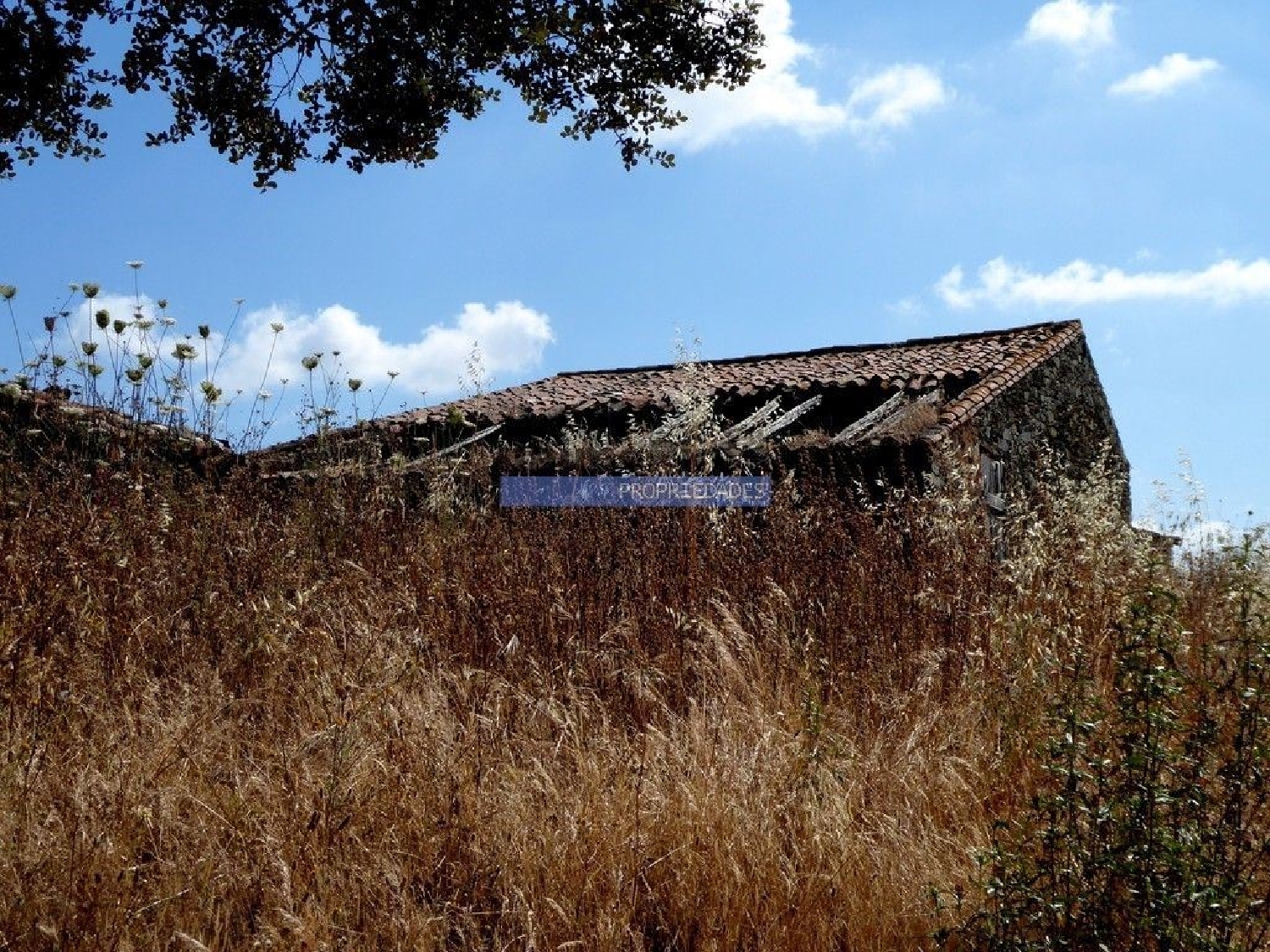 for sale terrain Almodôvar Almodôvar 2