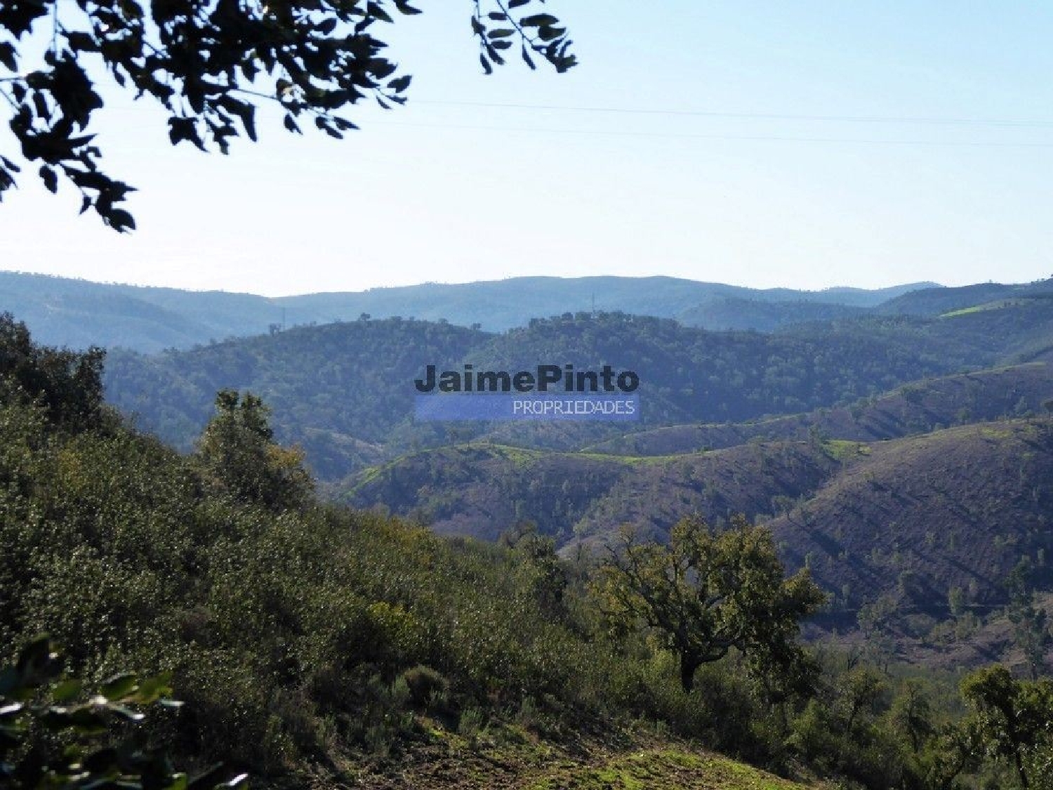 for sale terrain Almodôvar Almodôvar 3