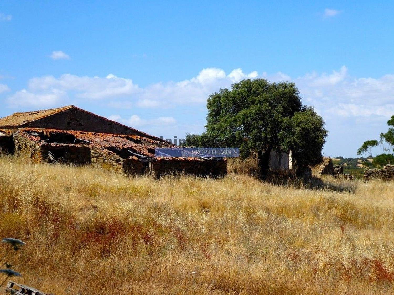 for sale terrain Almodôvar Almodôvar 3