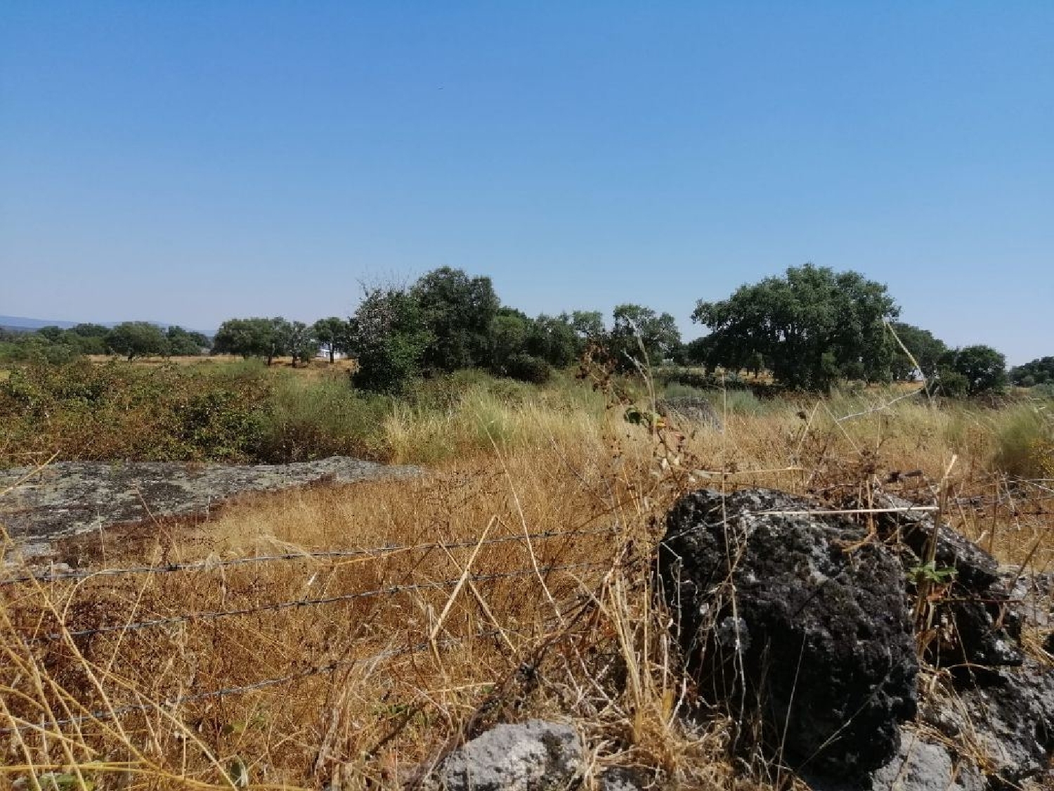  en venta terreno Alpalhão Nisa 1