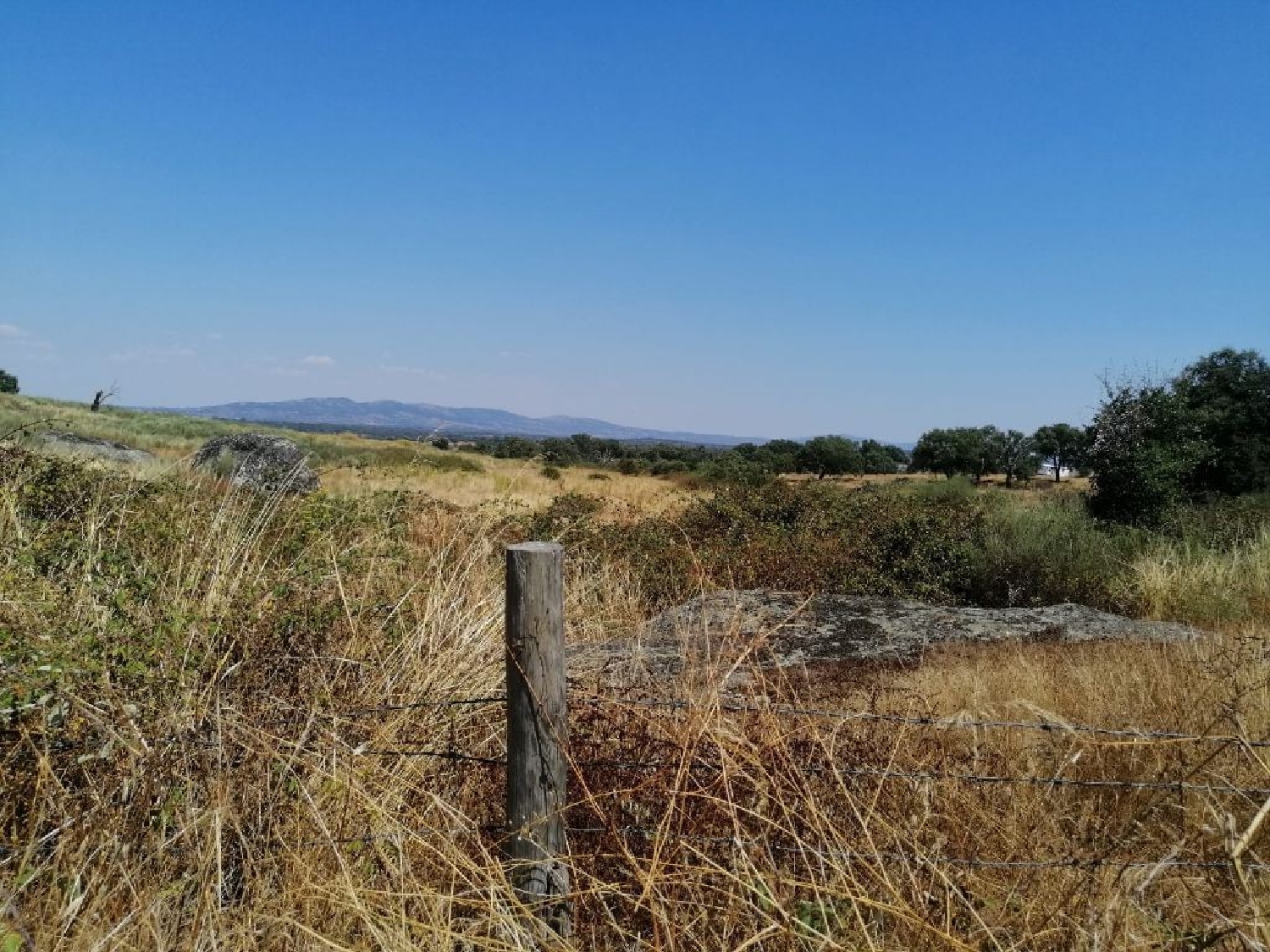  en venta terreno Alpalhão Nisa 2