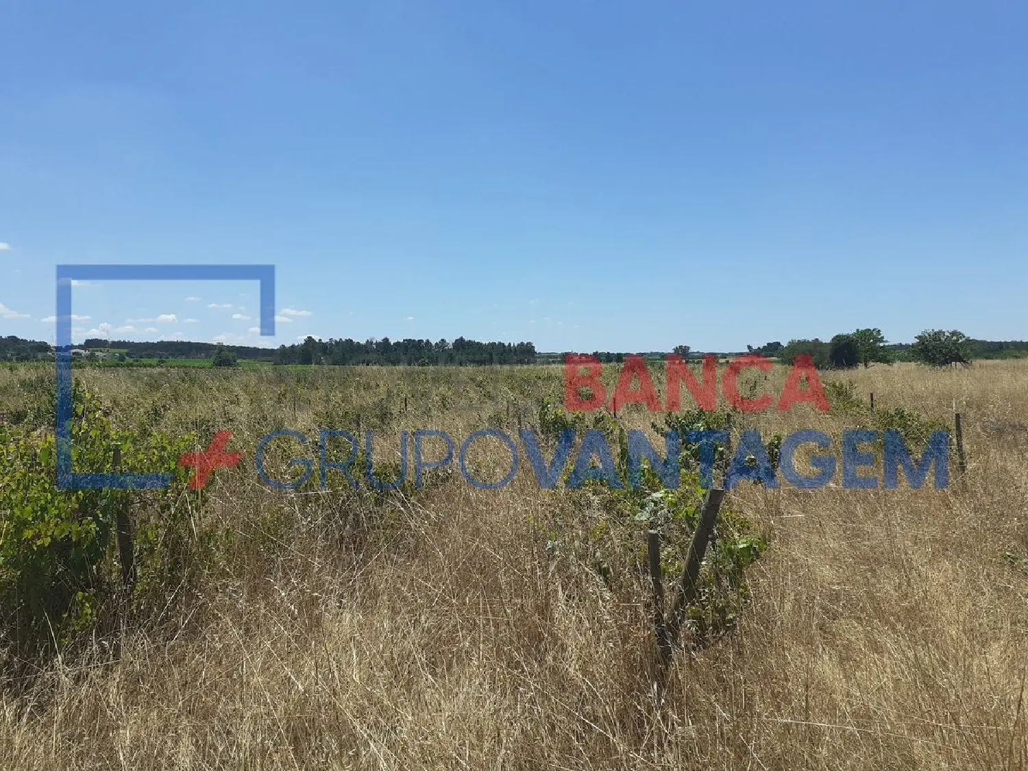 à vendre terrain Alpiarça Alpiarça 2