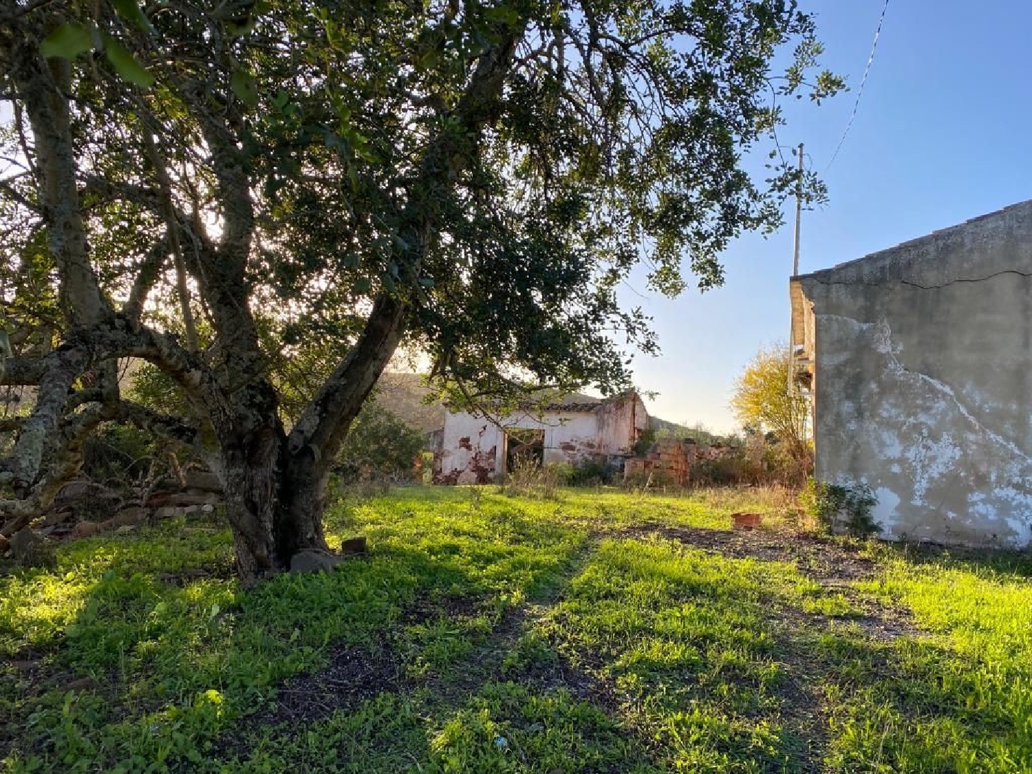 te koop terrein Alportel São Brás De Alportel 3
