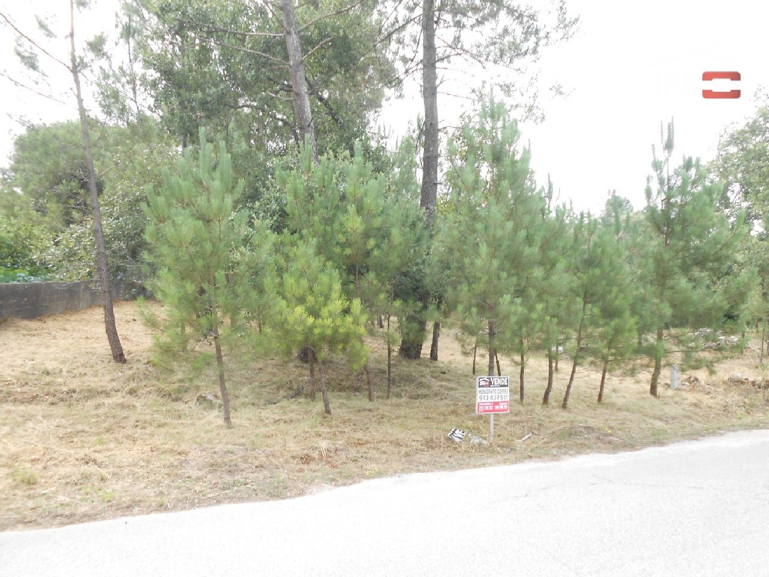 te koop terrein Alqueidão da Serra Porto De Mós 2