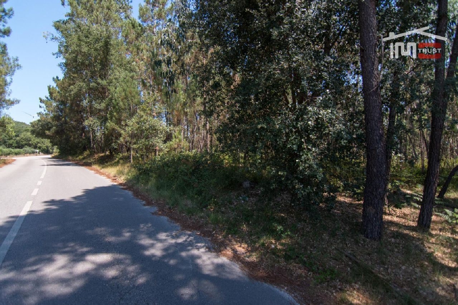  en venta terreno Alqueidão da Serra Porto De Mós 1