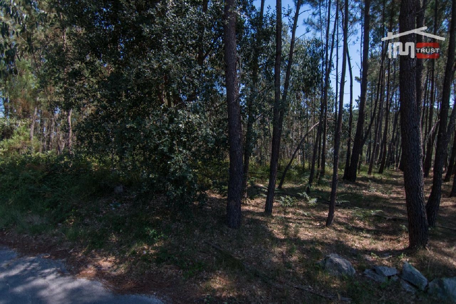 en venta terreno Alqueidão da Serra Porto De Mós 2