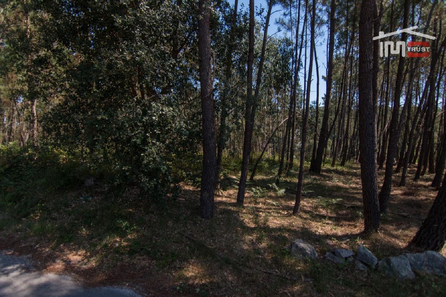 en venta terreno Alqueidão da Serra Porto De Mós 3