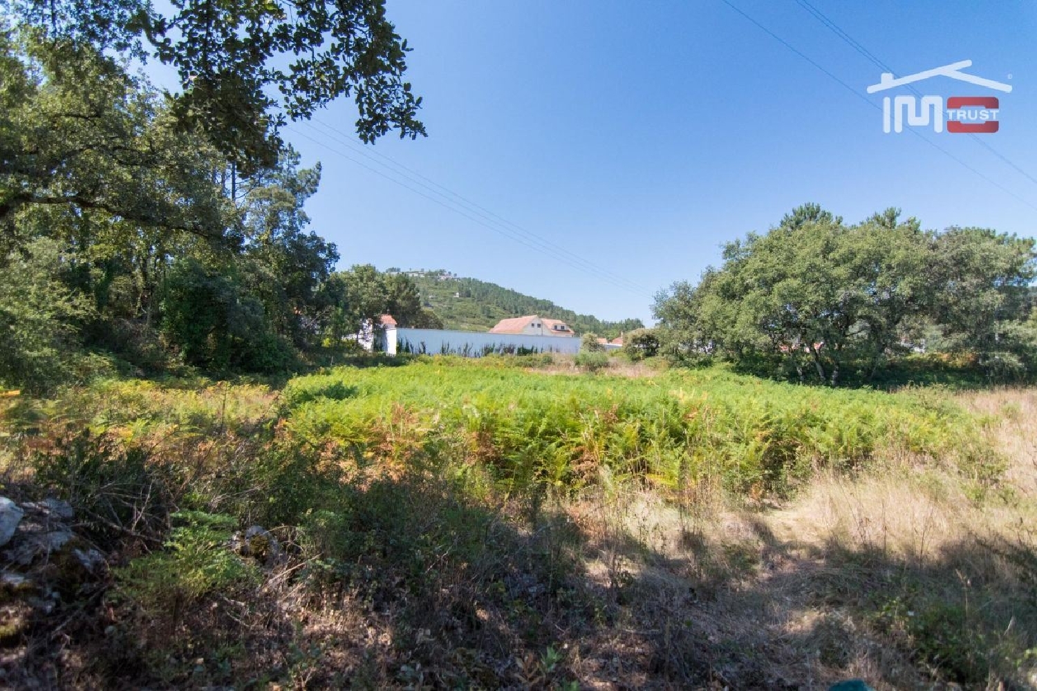  en venta terreno Alqueidão da Serra Porto De Mós 1