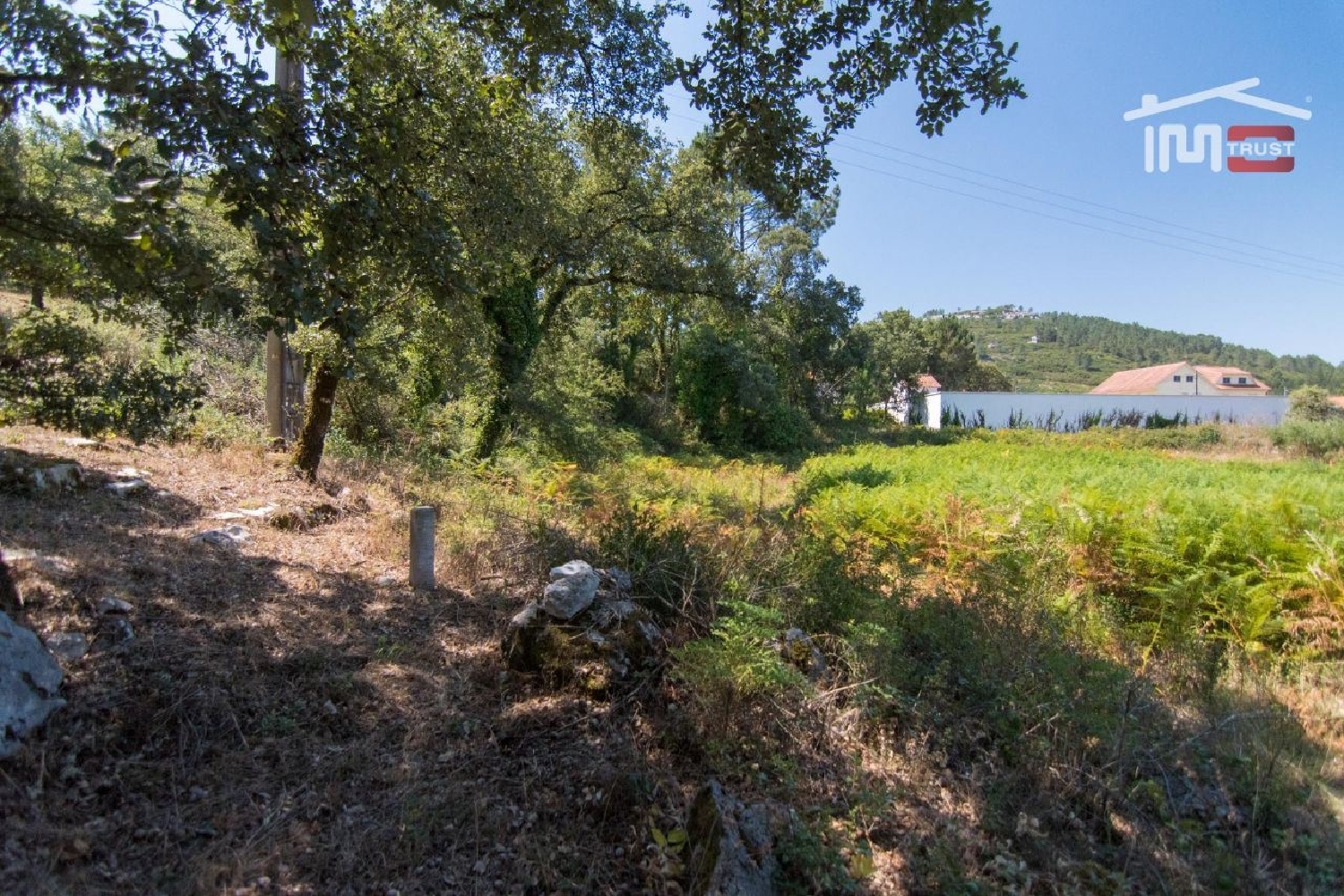 en venta terreno Alqueidão da Serra Porto De Mós 2