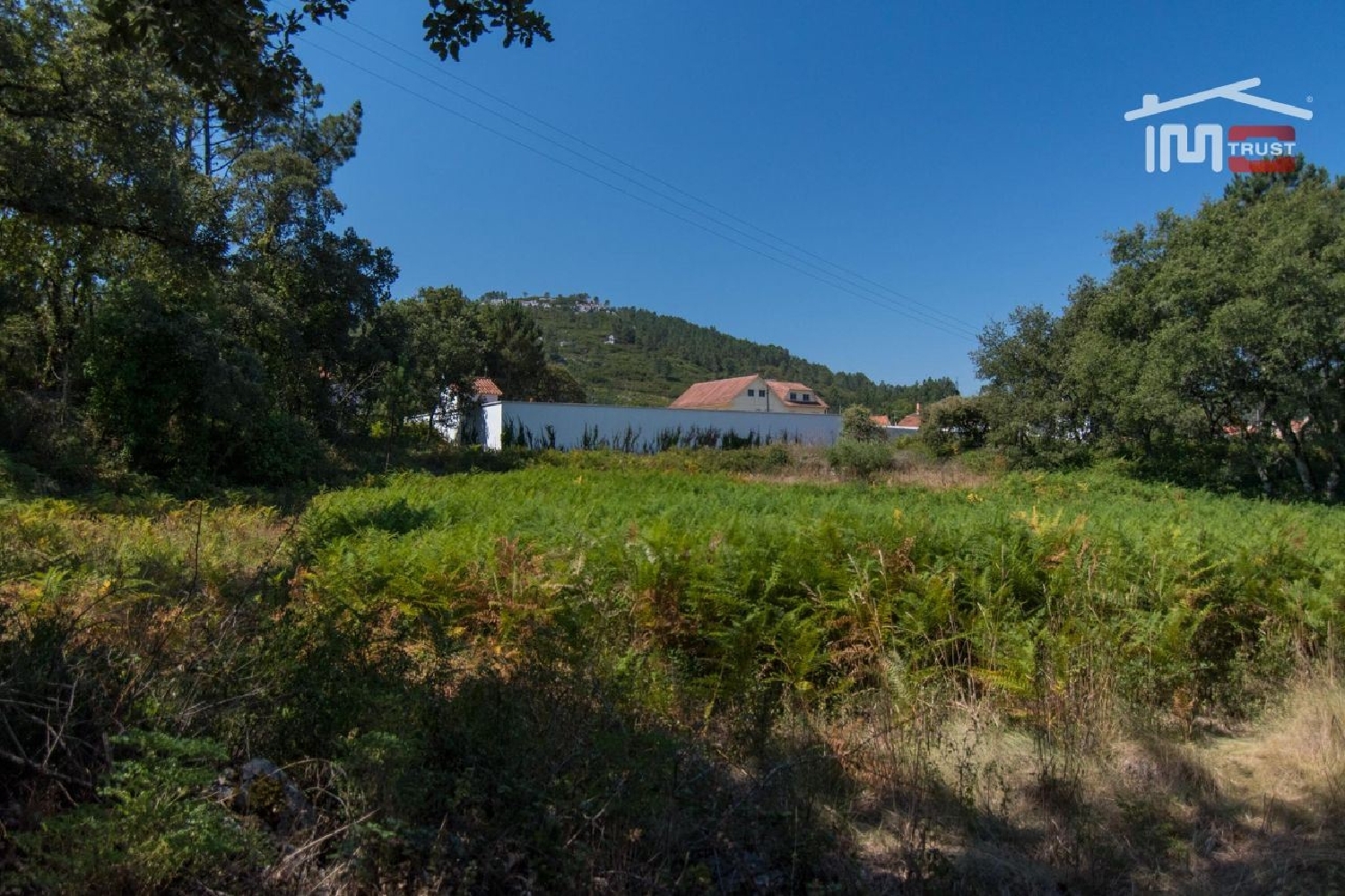 en venta terreno Alqueidão da Serra Porto De Mós 3