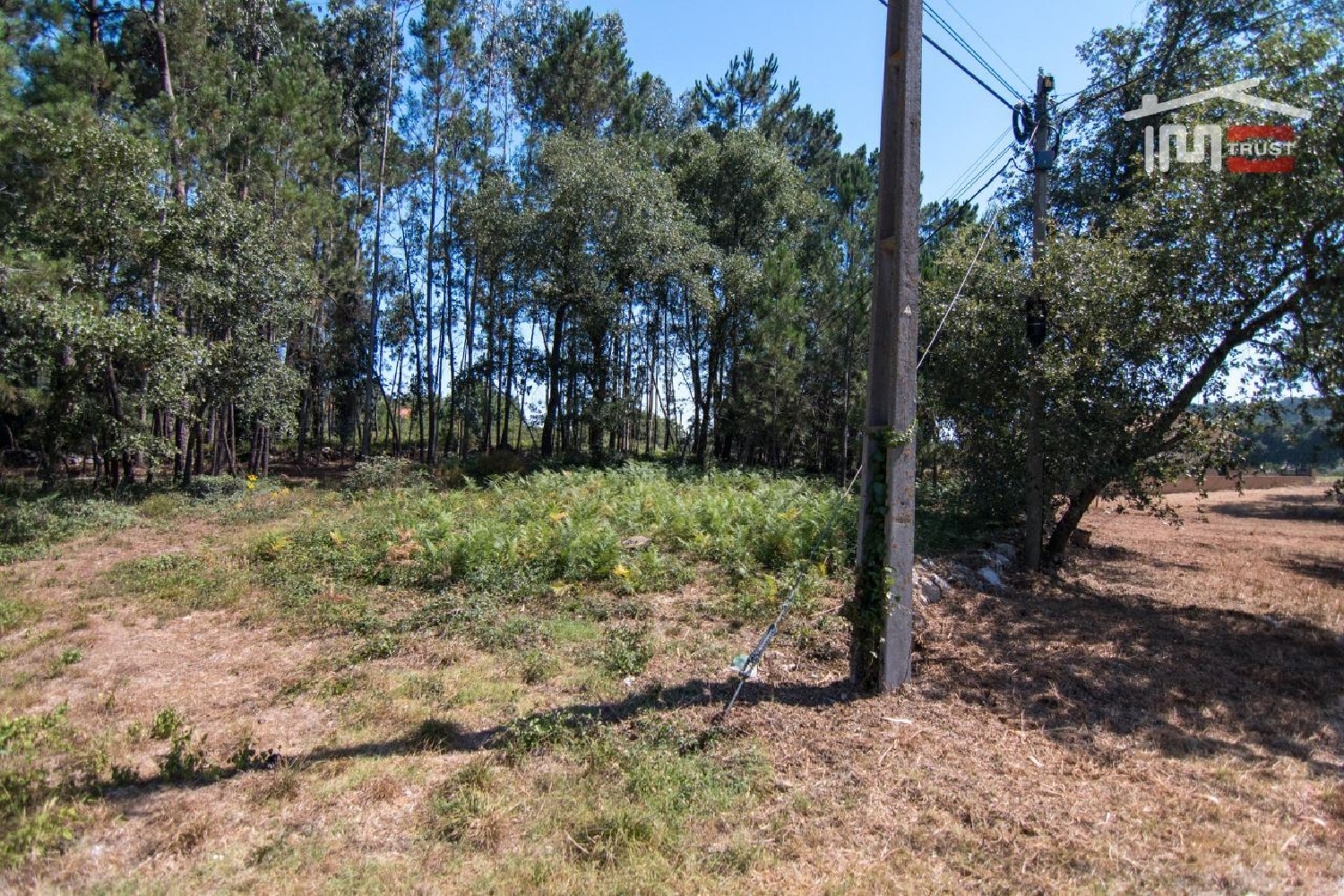en venta terreno Alqueidão da Serra Porto De Mós 2