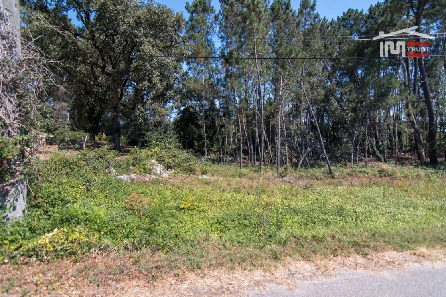 en venta terreno Alqueidão da Serra Porto De Mós 3