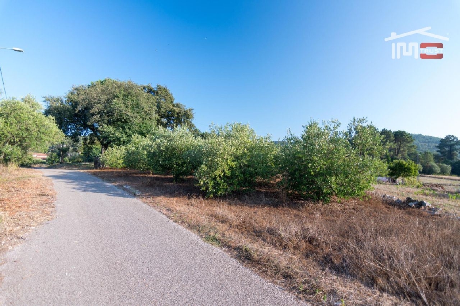 en venta terreno Alqueidão da Serra Porto De Mós 3