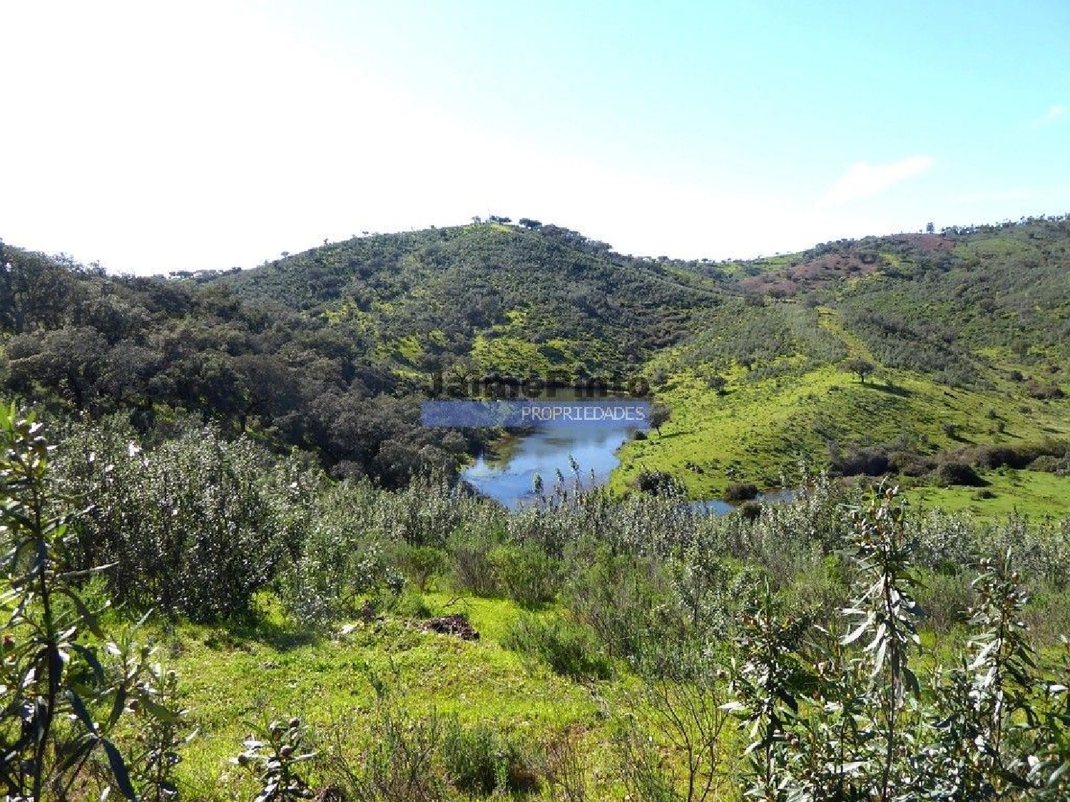 à vendre terrain Alqueva Portel 2
