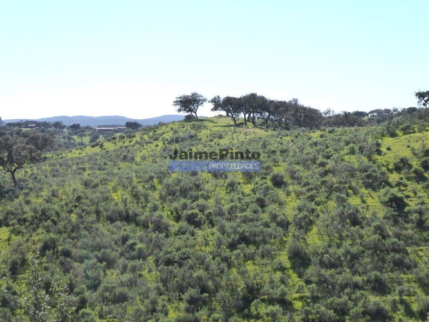 à vendre terrain Alqueva Portel 3