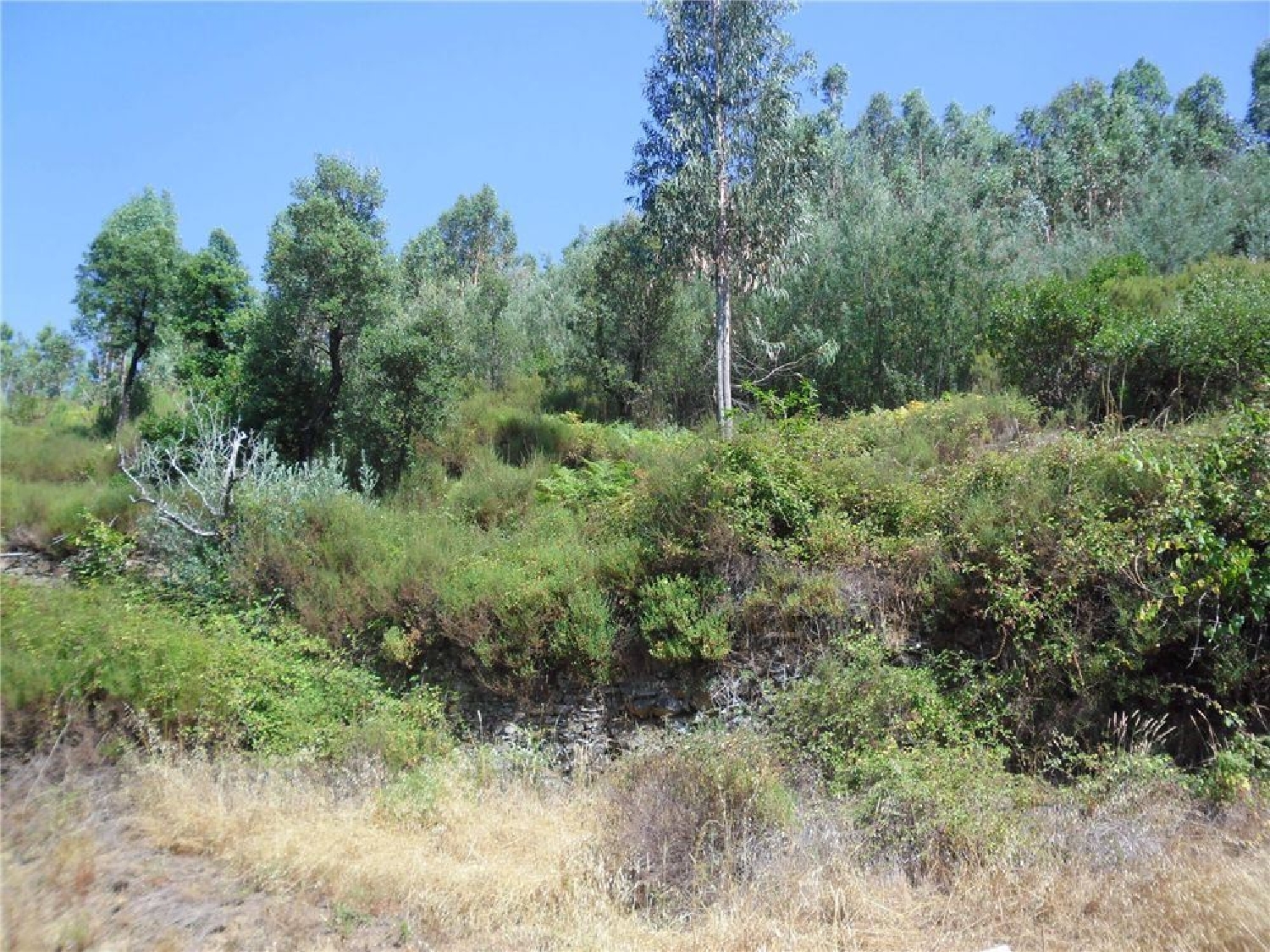 en venta terreno Álvaro Oleiros 3