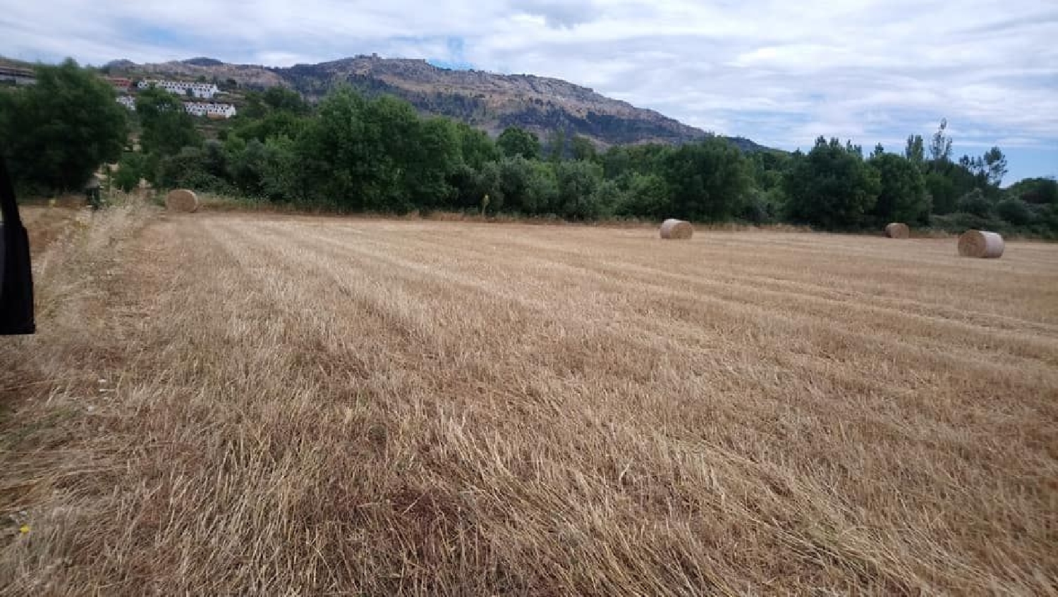  te koop terrein Alvarrões Marvão 1