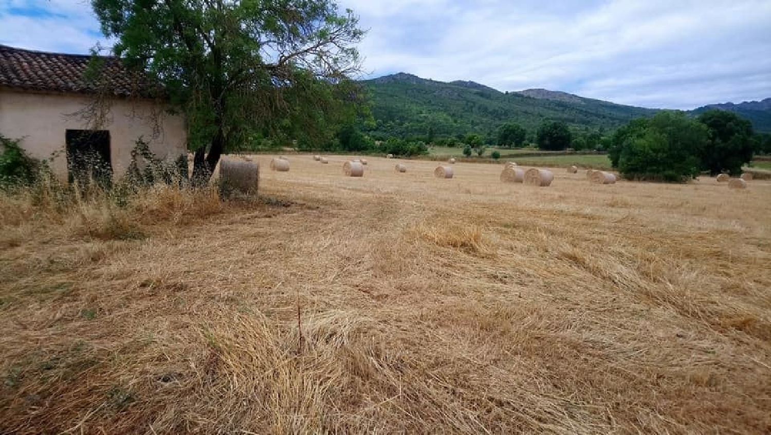  te koop terrein Alvarrões Marvão 2
