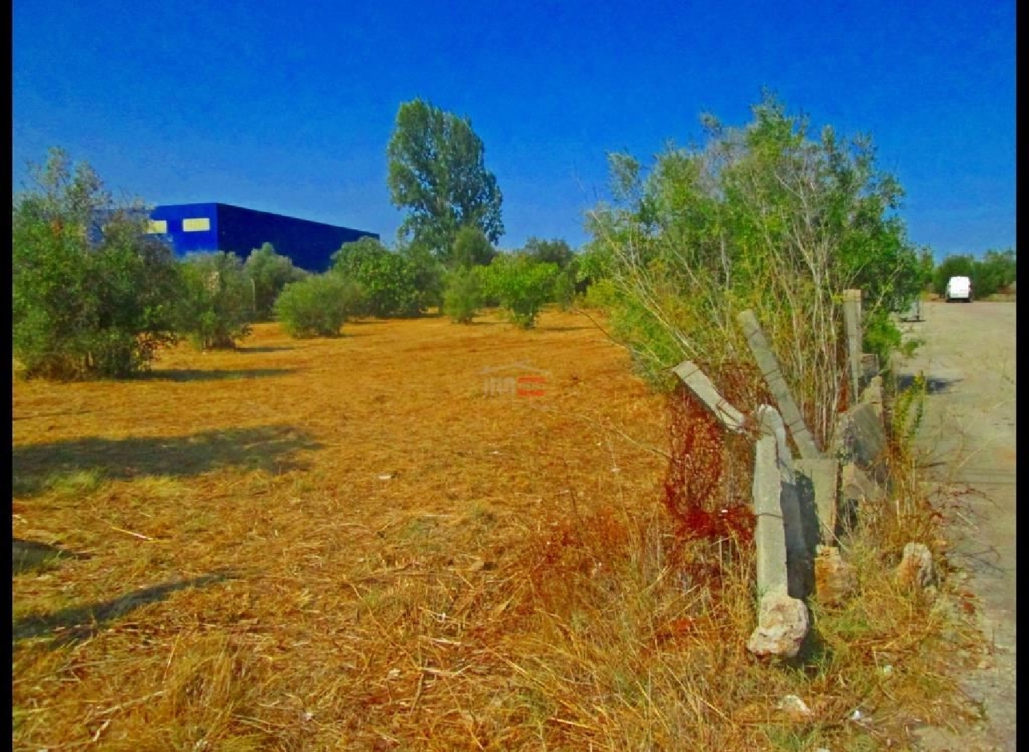à vendre terrain Alviobeira Tomar 2