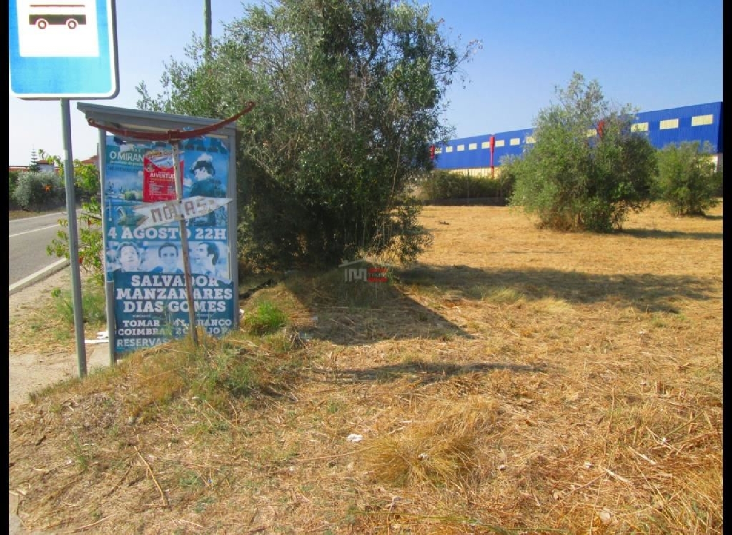 à vendre terrain Alviobeira Tomar 3
